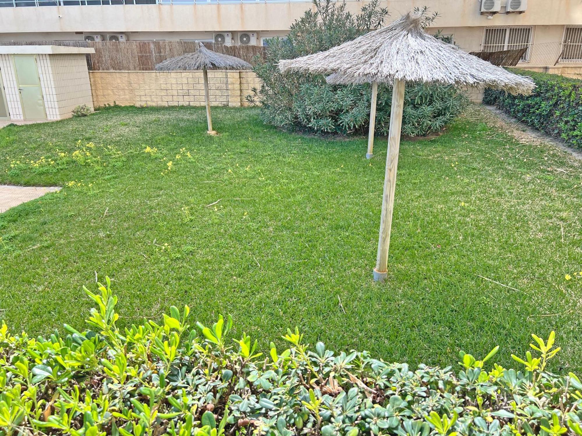 Oasis Frente Al Mar. Parking Gratis Lejlighed El Campello Eksteriør billede