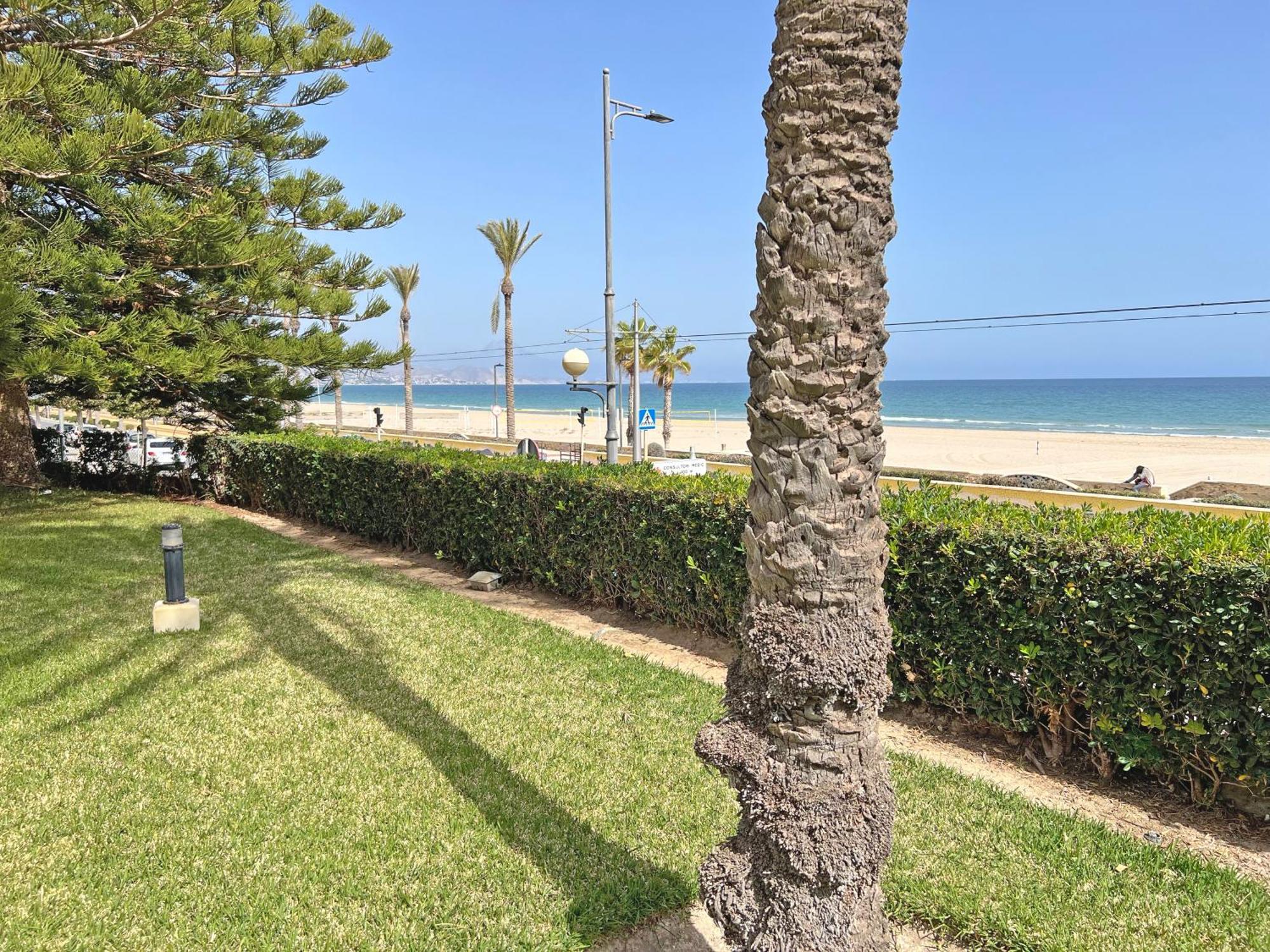 Oasis Frente Al Mar. Parking Gratis Lejlighed El Campello Eksteriør billede